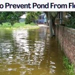 How To Prevent Pond From Flooding