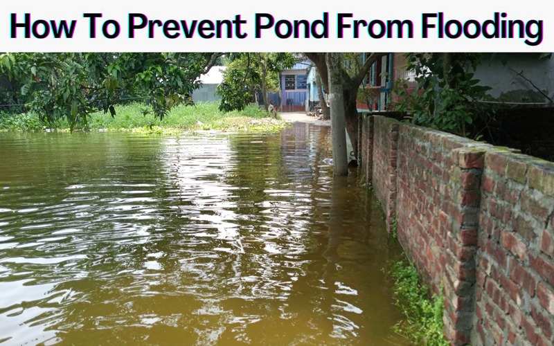 How To Prevent Pond From Flooding