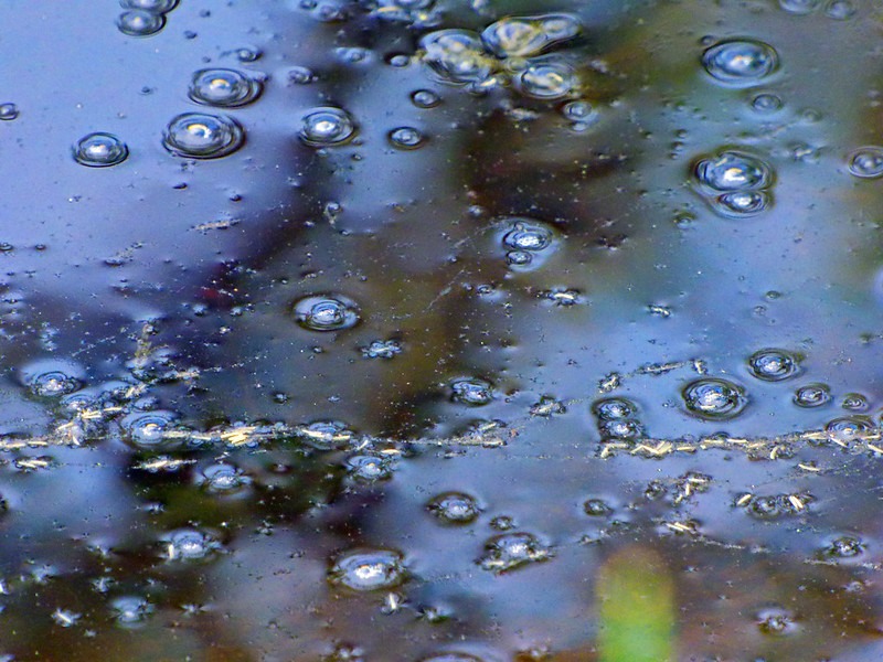 How To Get Rid Of Bubbles In Pond Only A Few Steps Need To Take