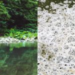 How To Get Rid Of White Foam In Pond