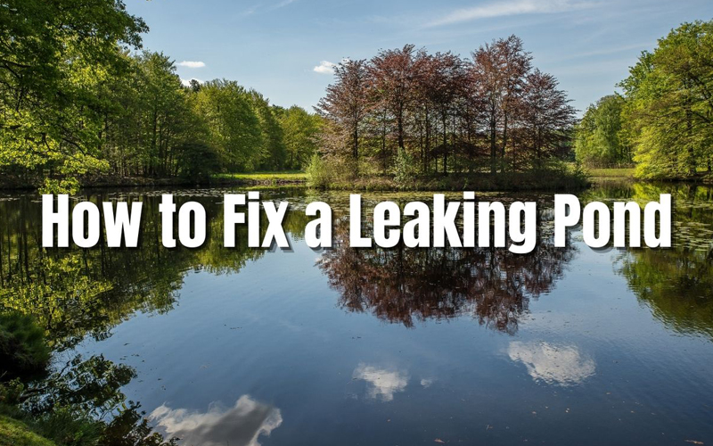 How to Fix a Leaking Pond