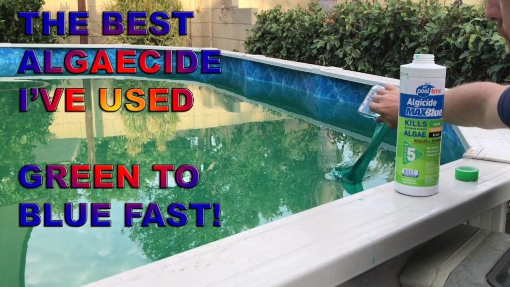 How to Clean Algae from the Pool