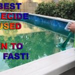 How to Clean Algae from the Pool