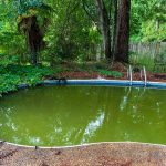 How to Get Rid of Algae in a Pool