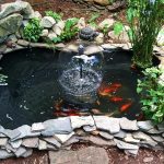 How Many Koi in 600 Gallon Pond