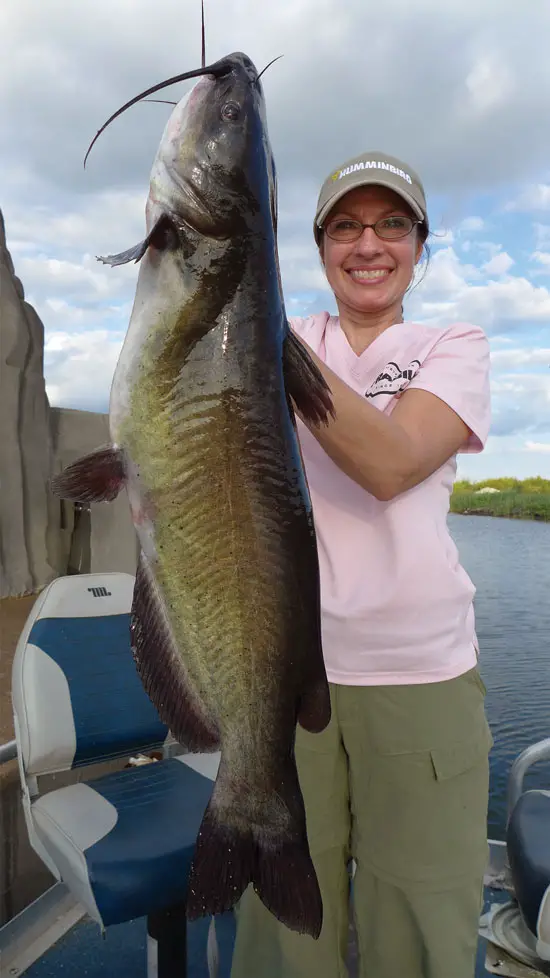 How Big Do Channel Catfish Get in Ponds