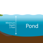 How Deep is a Pond