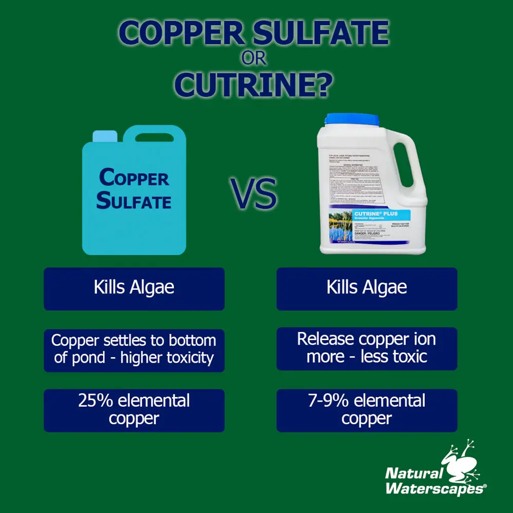 How Long Does Copper Sulfate Last in a Pond
