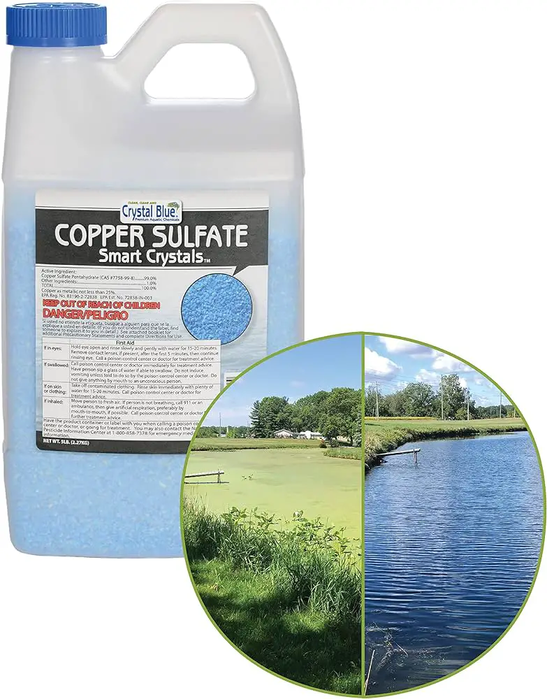 How Much Copper Sulfate Per Gallon of Water for a Pond