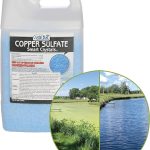 How Much Copper Sulfate Per Gallon of Water for Pond