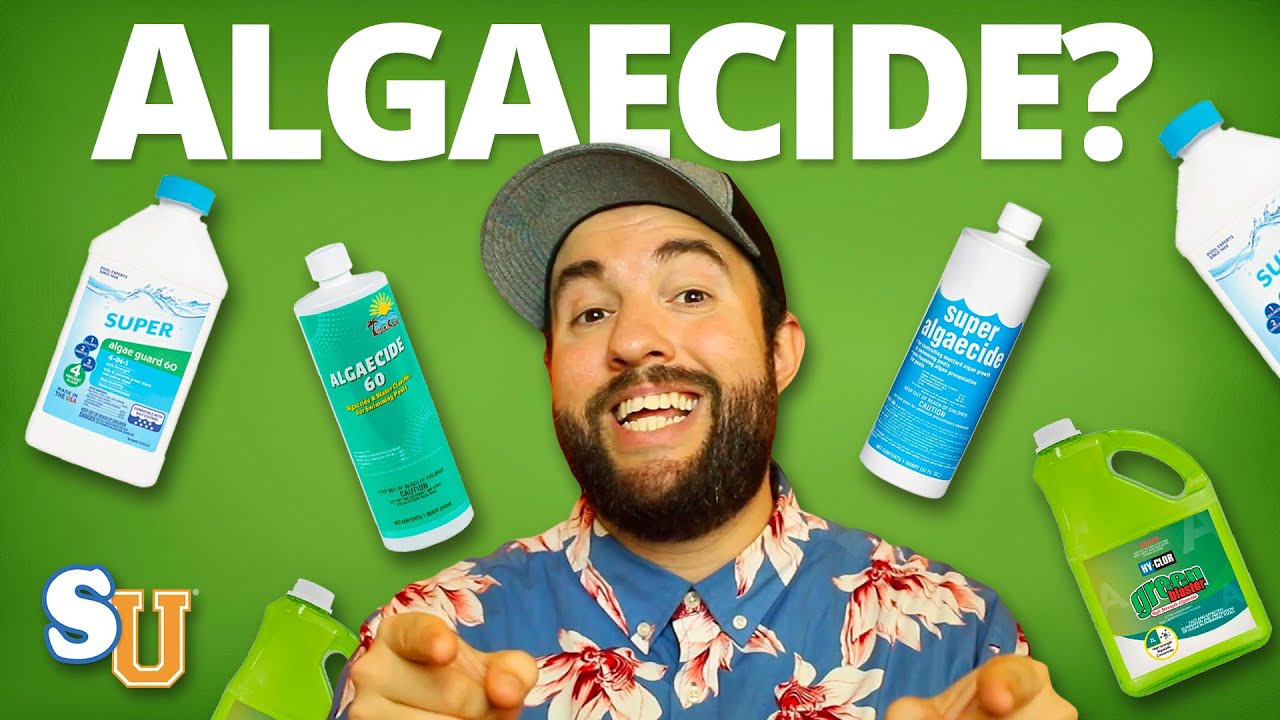 How Often to Put Algaecide in the Pool Ultimate Guide