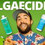 How Often to Use Algaecide in the Pool