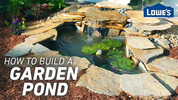 How to Build a Backyard Pond