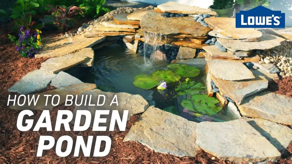 How to Build a Small Pond