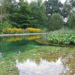 How to Clean a Large Pond With Fish