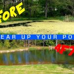 How to Clean Up a Pond
