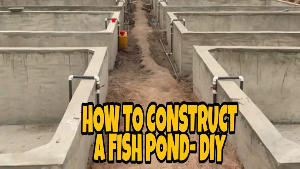 How to Construct a Fish Pond