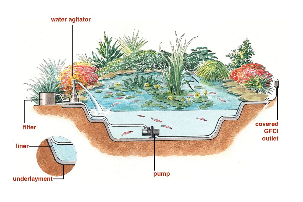 How to Create a Pond in Your Backyard