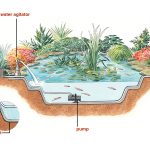 How to Create a Pond in Your Backyard