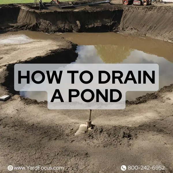 How to Empty a Pond