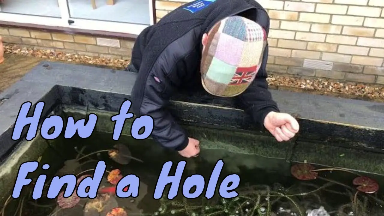 How to Find a Leak in a Pond Liner Quick Detection Tips