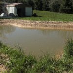 How to Get a Pond Dug for Free