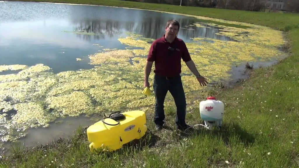 How to Get Moss Out of a Pond