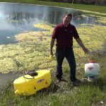 How to Get Moss Out of a Pond