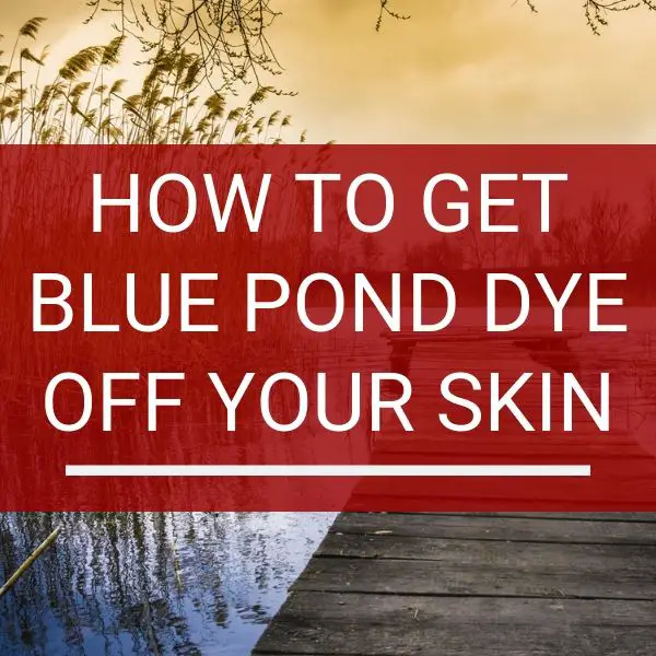 How to Get Pond Dye off the Skin