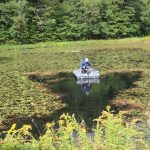 How to Get Rid of Weeds in a Pond
