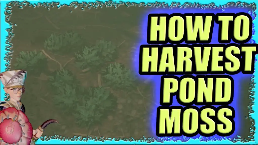 How to Harvest Pond Moss Grounded