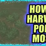 How to Harvest Pond Moss Grounded
