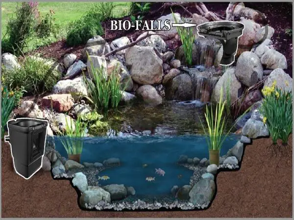 How to Install a Koi Pond