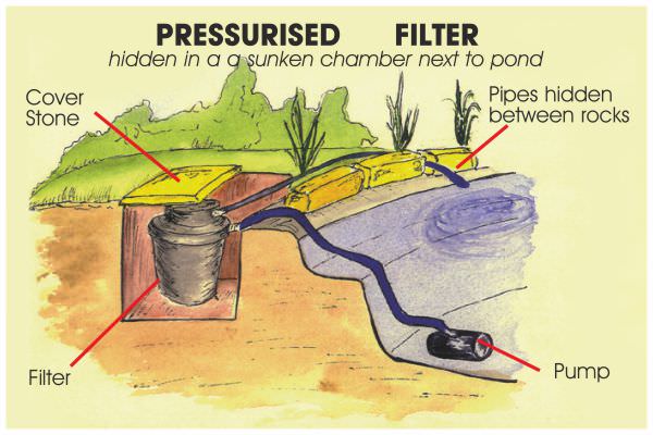 How to Install a Pond Pump And Filter