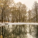 How to Keep a Farm Pond from Freezing