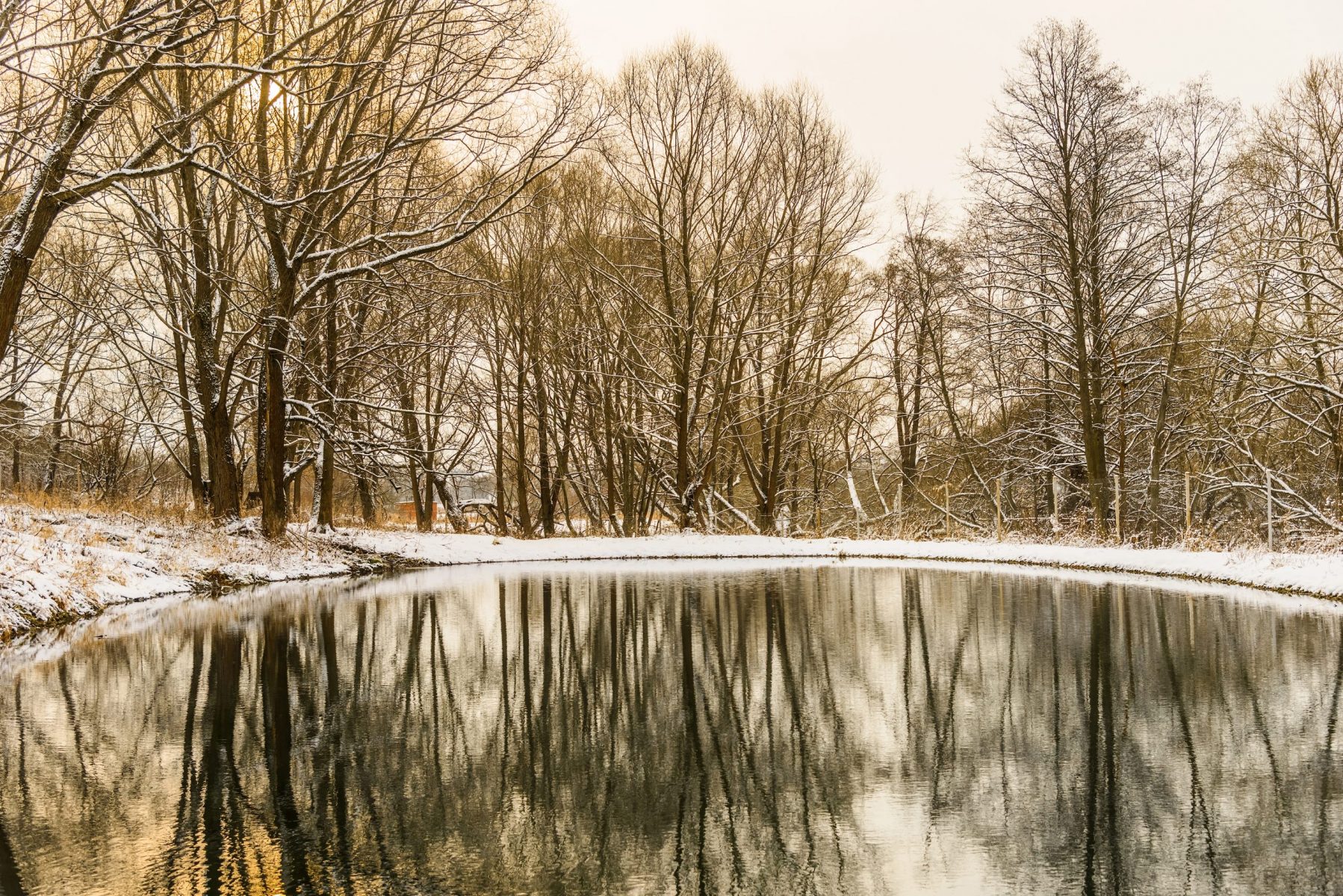 How to Keep a Farm Pond from Freezing Surefire Tips