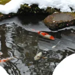 How to Keep a Koi Pond from Freezing