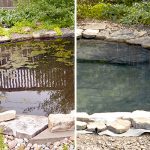 How to Keep a Small Pond Clean