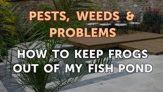 How to Keep Frogs Out of a Pond