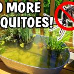 How to Keep Mosquito Larvae Out of a Pond