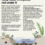How to Keep Water in a Pond