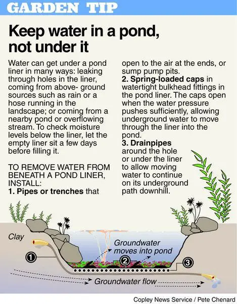 How to Keep Water in a Pond