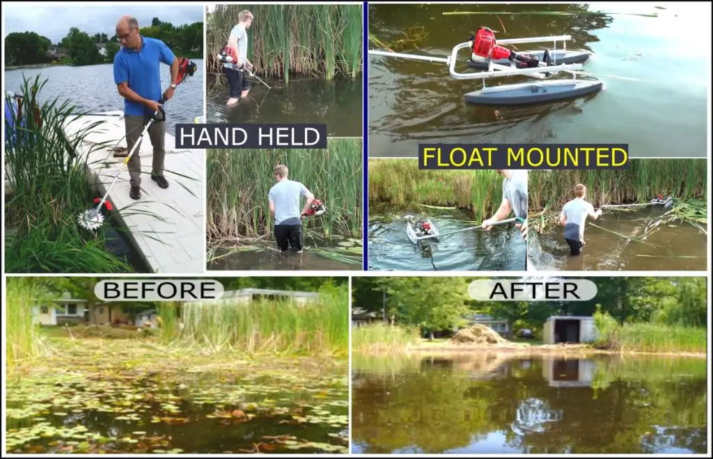 How to Kill Cattails in a Pond