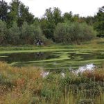 How to Make a Duck Pond for Hunting