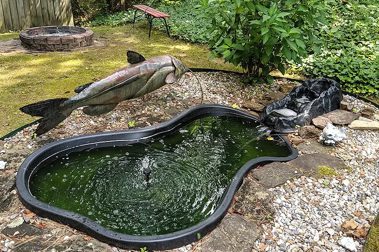 How to Make a Fish Pond in Your Backyard