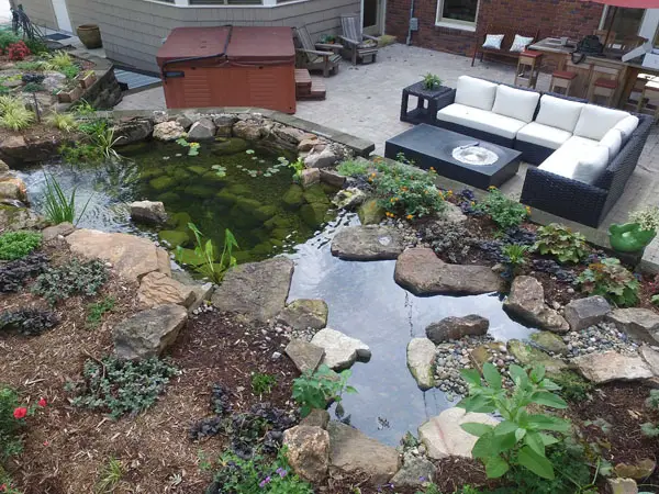 How to Make a Koi Pond in Your Backyard