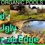 How to Make a Natural Pond Without a Liner