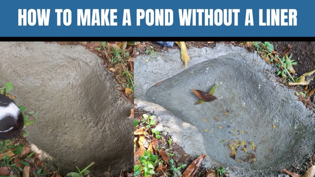 How to Make a Pond Without Liner