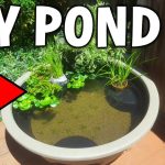 How to Make a Small Fish Pond