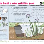 How to Make a Small Pond